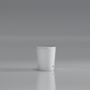 Modern Smart Toilet with Bidet Seat Built-In