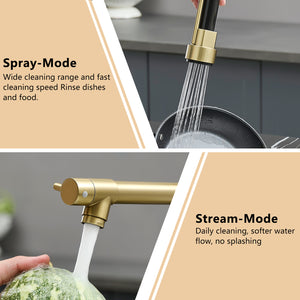 Stainless Steel Kitchen Faucet with Pull Down Sprayer