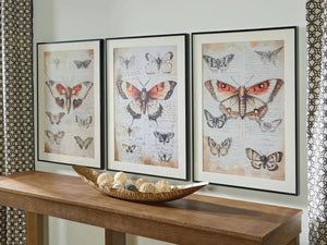 Jossletts - Wall Art Set (Set of 3) - Orange / Black / Ivory - Best Buy Furniture
