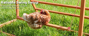 3-in-1 Nesting Boxes for Chickens with Perch and Swing