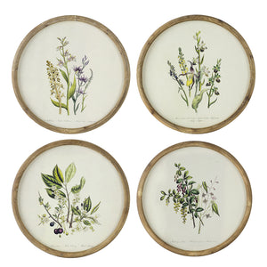S/4 D19.7" Flora Print Round Frame