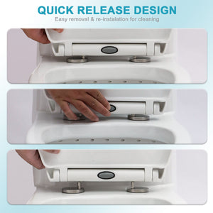 1 Piece Toilet For Bathroom, Dual Flush, Soft Closing Seat - White