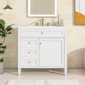 Bathroom Vanity With Top Sink, 2 Drawers And Tip Out Drawer