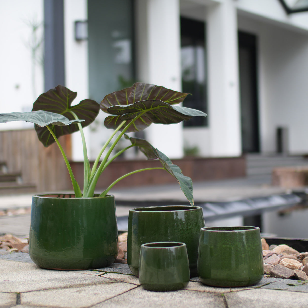 Handmade Solid Glazed Ceramic Planter Set of 4