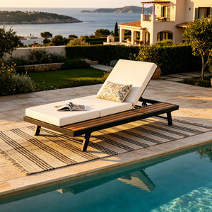 Black Iron + Teak Finish Chaise Lounge Set with Dark Frame