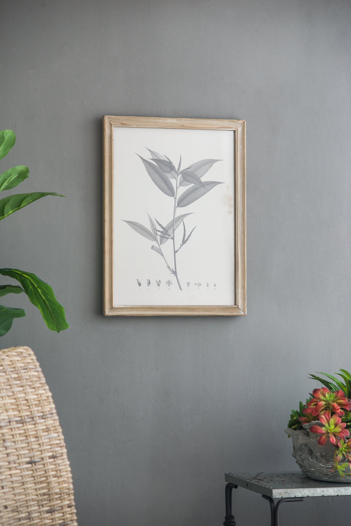 Botanical Wall Décor Set of 4
