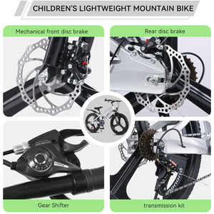 20 Inch Kids Mountain Bike