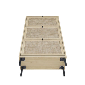 Modern Rattan 3 Door Shoe Rack Cabinet for Entryway