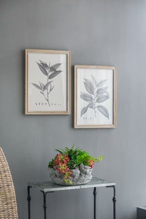 Botanical Wall Décor Set of 4