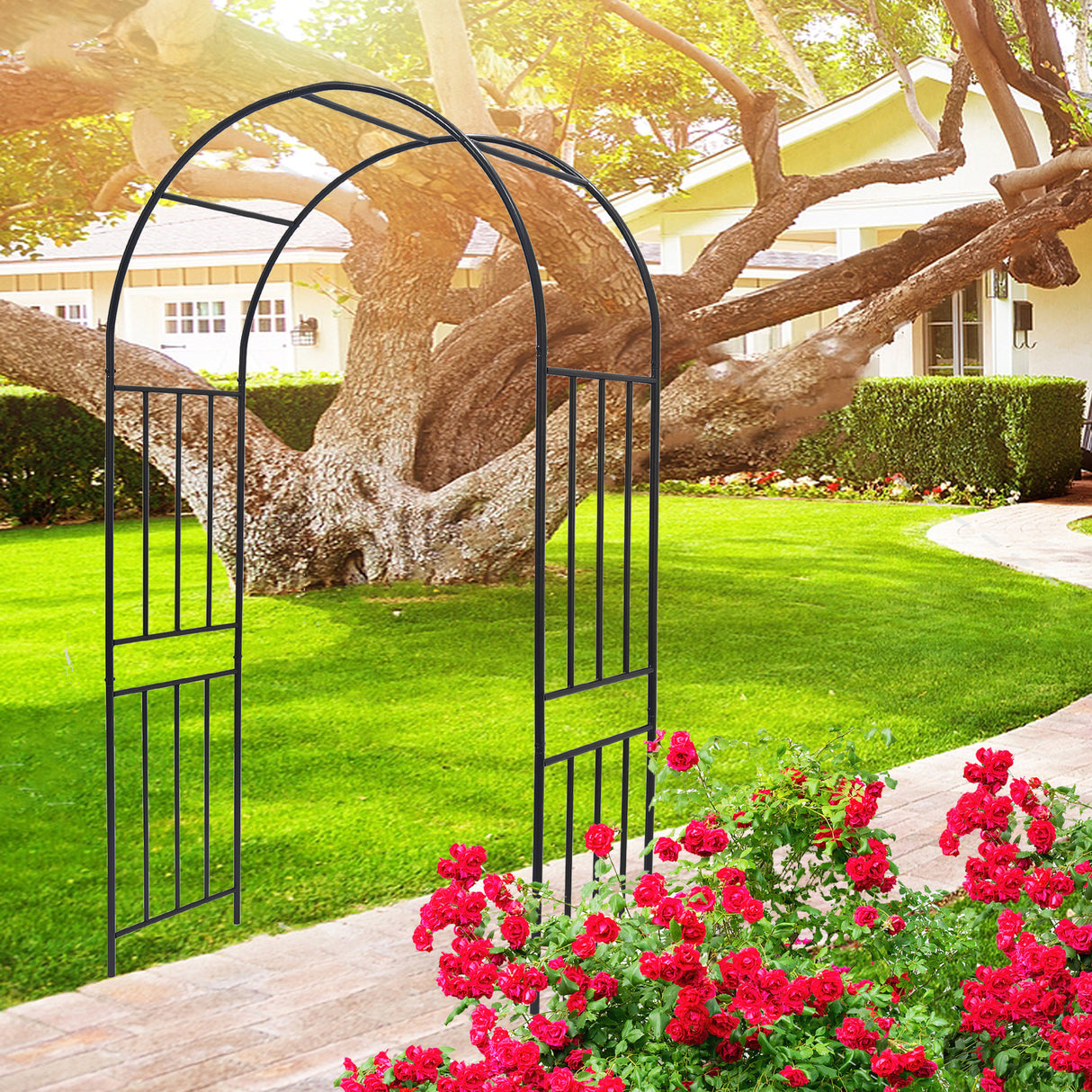 Metal Garden Arch for Climbing Plants
