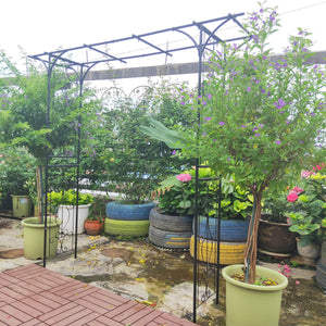 Metal Garden Arch Climbing Plants Support Rose Arch Outdoor - Black