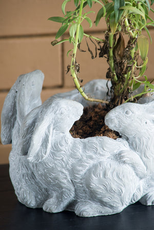 5 Bunny Cement Planter with Playful Bunny Design - Cement
