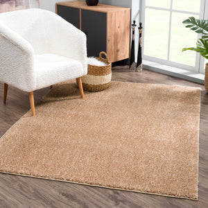 Judy Brown  - Promo Washable Area Rug