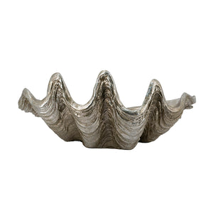 19.7x10.6x5.5" Decorative Shell Bowl