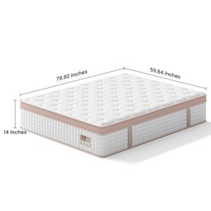 14 Inch Firm Hybrid Mattress – Queen Size