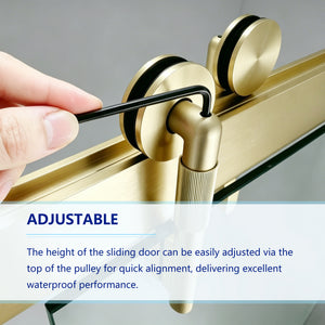 Frameless Double Sliding Shower Door in Brushed Finish