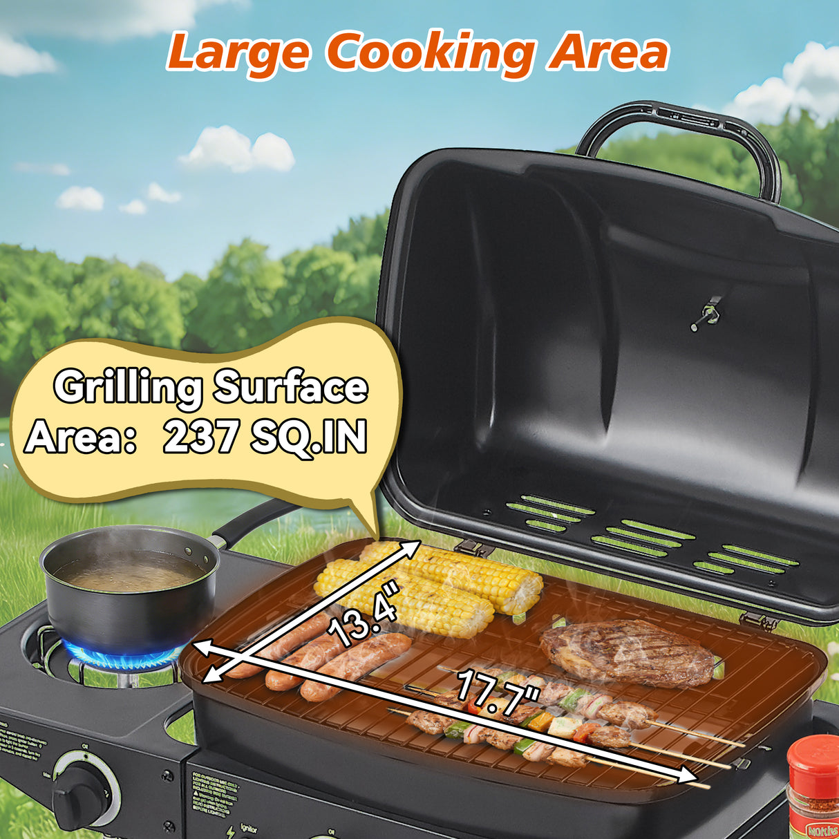 2 Burner Propane Gas BBQ Grill with Side Burner