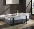 Wilkins - High Gloss Coffee Table With Lift Top - Gray / White - Best Buy Furniture