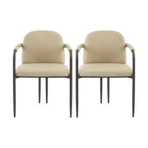 Modern Dining Chair (Set of 2) With Iron Frame - Espresso / Khaki