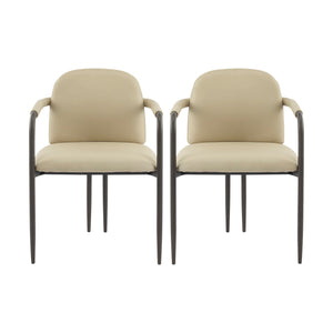 Modern Dining Chair (Set of 2) With Iron Frame - Espresso / Khaki