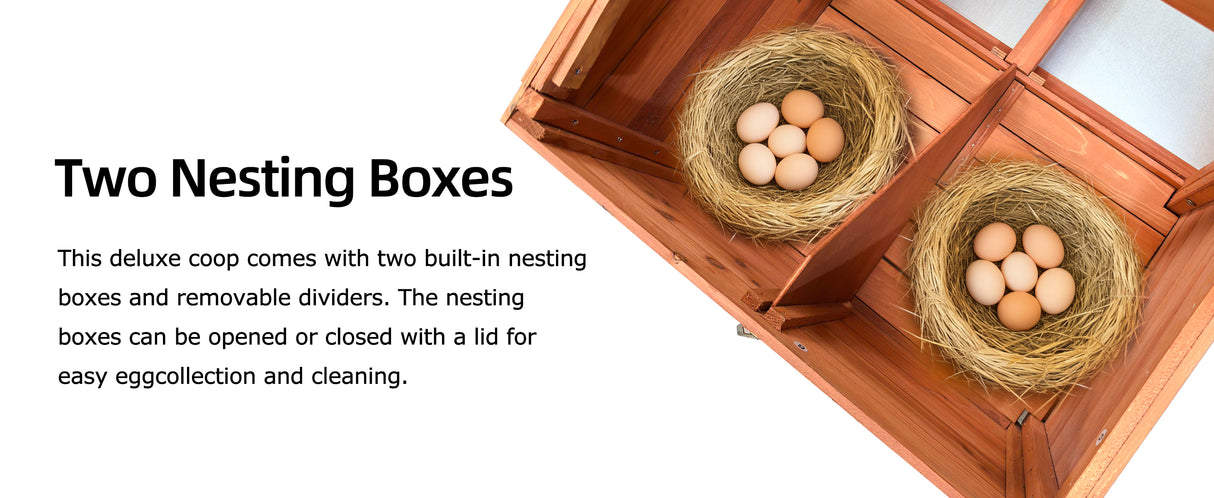 Automatic Chicken Coop with Solar-Powered Door and Ventilation