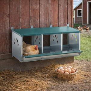 Metal Nesting Boxes for Chicken