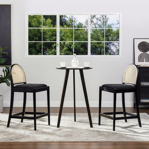 Panama - Curved Back Cane Counter Stool (Set of 2)