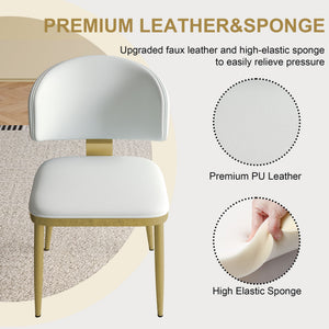 Modern Dining Chairs For Kitchen (Set of 2)