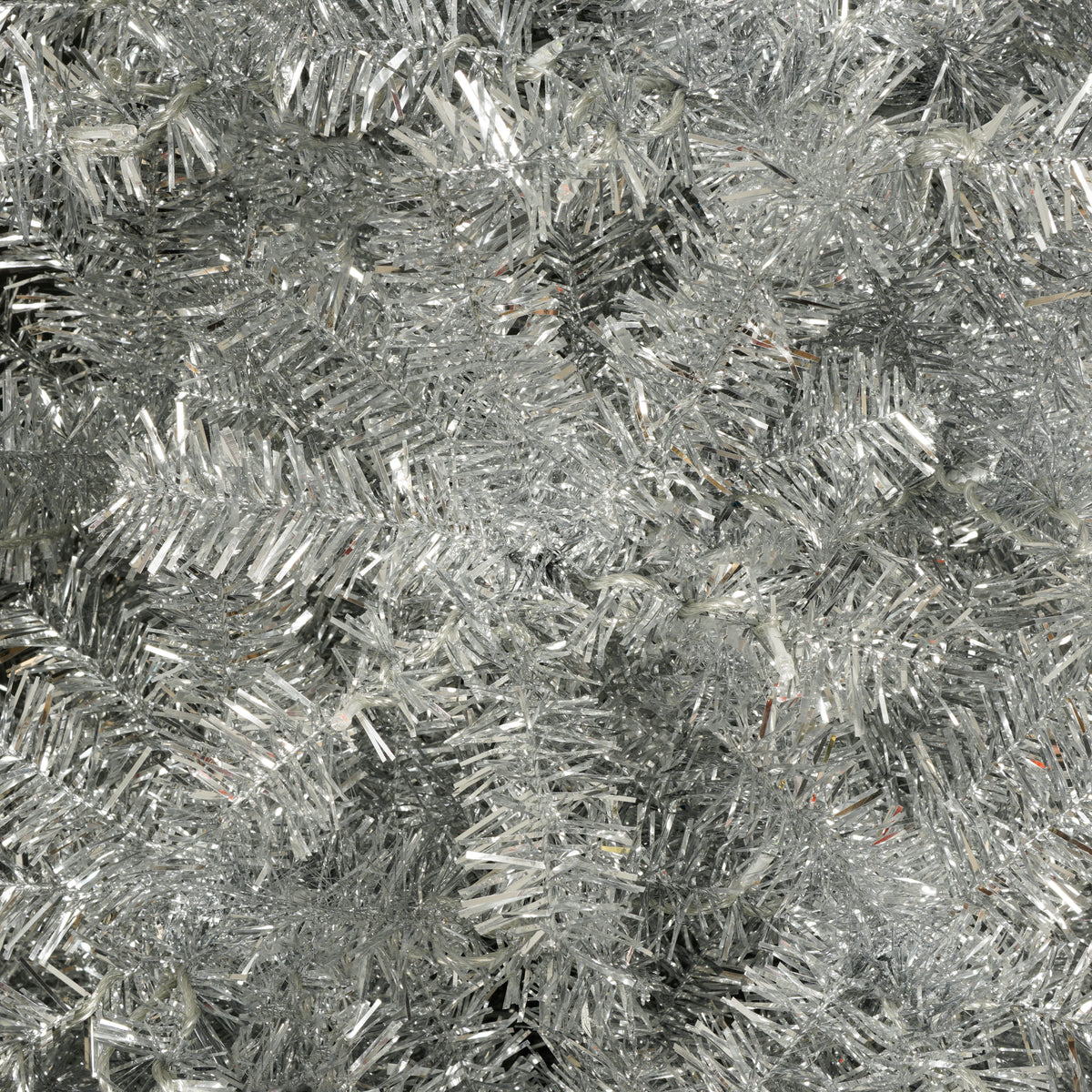 Premium Christmas Trees