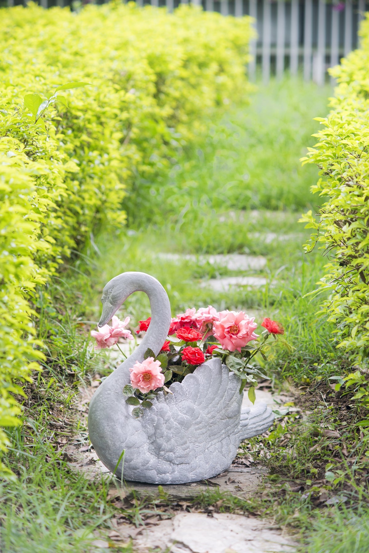16.5x9x15.5" Mgo Swan Planter