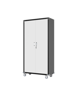 Garage Storage Cabinets with Locking Doors and 4 Adjustable Shelves