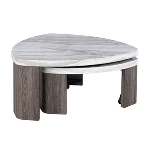 Contemporary Style Nesting Cocktail Table with Marble Pattern