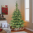 T3637P338445