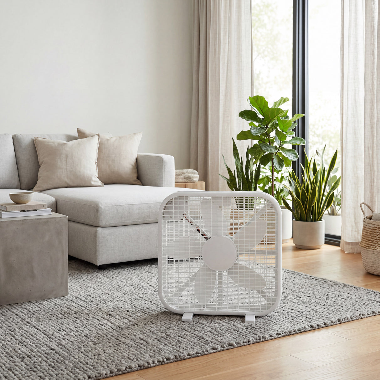 20 Inch Box Fan