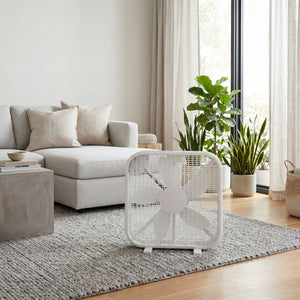 20 Inch Box Fan