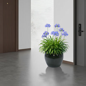 3 Pieces Ceramic Flowerpot, Planter For Patio, Garden Or Windowsills