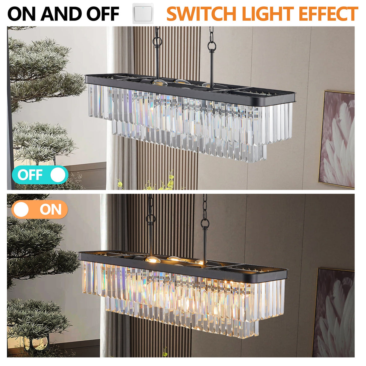23838978