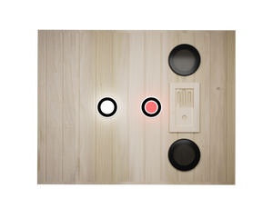 XY-909MB-L Far Infrared Sauna Room
