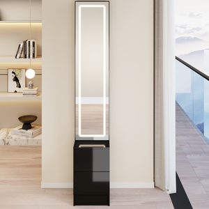 LED Dressing Mirror Cabinet with Adjustable Brightness