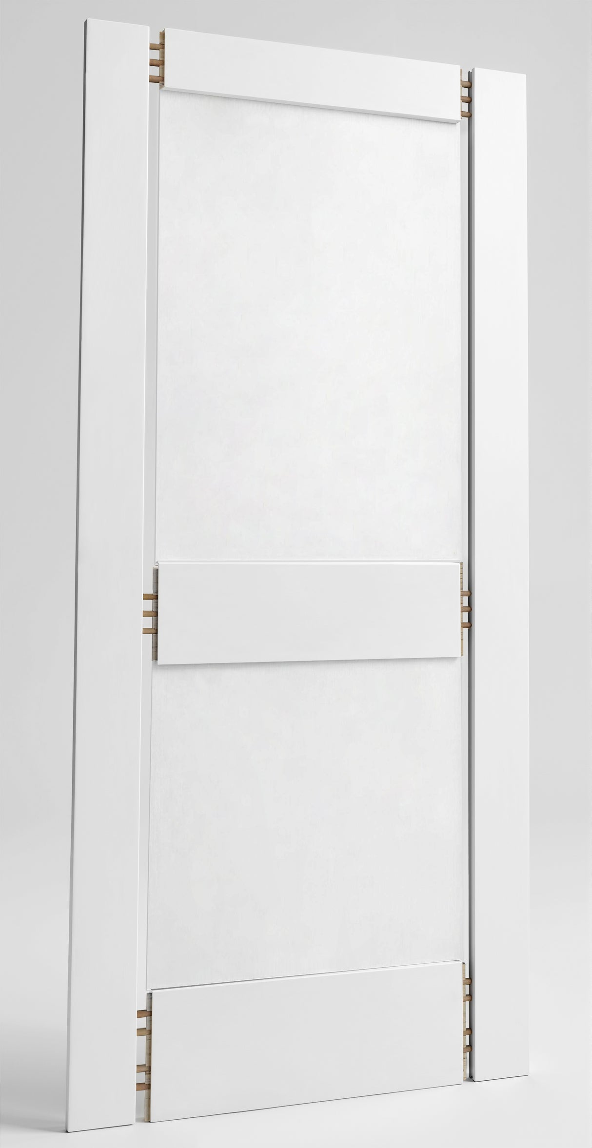 30 In. x 80 In. Shaker Door