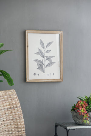 Botanical Wall Décor Set of 4