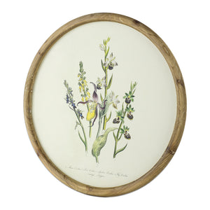 S/4 D19.7" Flora Print Round Frame