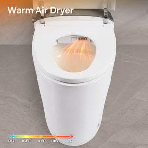Elongated Smart Toilet with Bidet and Heated Seat