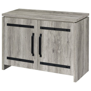 2 Door Accent Cabinet With Accents - Gray