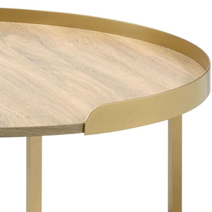 Mithea Coffee Table