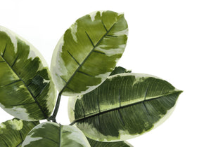 52" Tall, Artificial Plant, Rubber Tree, Indoor, Fake, Floor, Greenery, Potted, Real Touch, Decorative - Green / Black - Best Buy Furniture