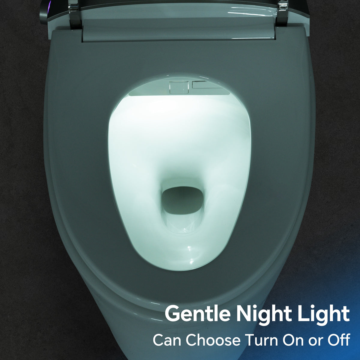 Elongated Smart Toilet with Bidet and Heated Seat