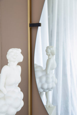 Poppy Mirror With Metal Frame Contemporary Design For Bathroom, Entryway Wall Decor