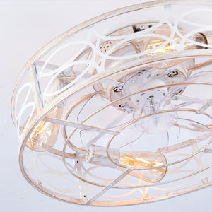 20" Caged Ceiling Fan with Lights and Remote Control