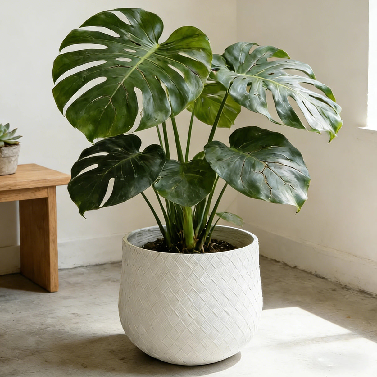 Assorted Sizes Magnesium Oxide Round Planter Set of 3